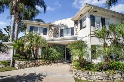 Front entry with stone accents under the palms